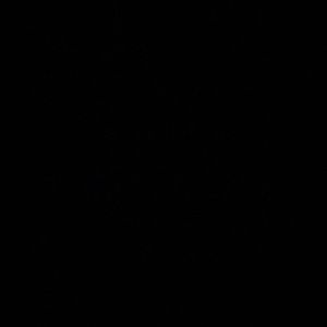 Meet your Posher, Bryahnna